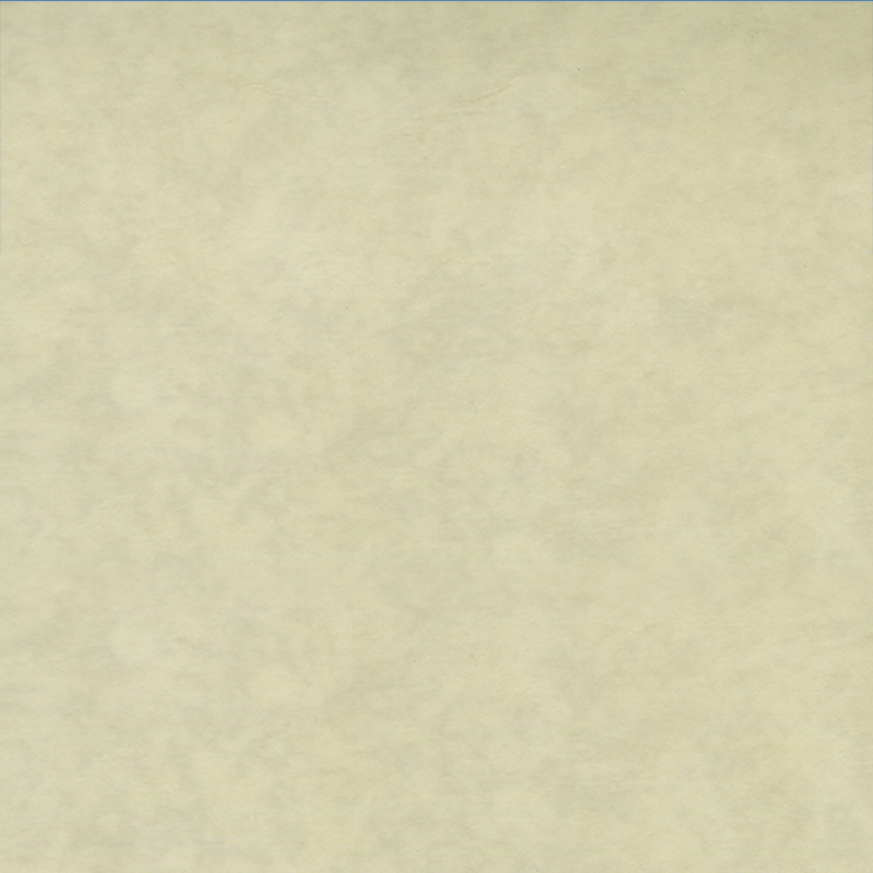 Pavimentazione eterogenea ecologica con resistenza all'usura