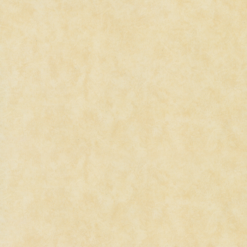 Pavimentazione eterogenea ecologica con resistenza all'usura