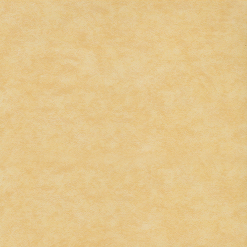 Pavimentazione eterogenea ecologica con resistenza all'usura