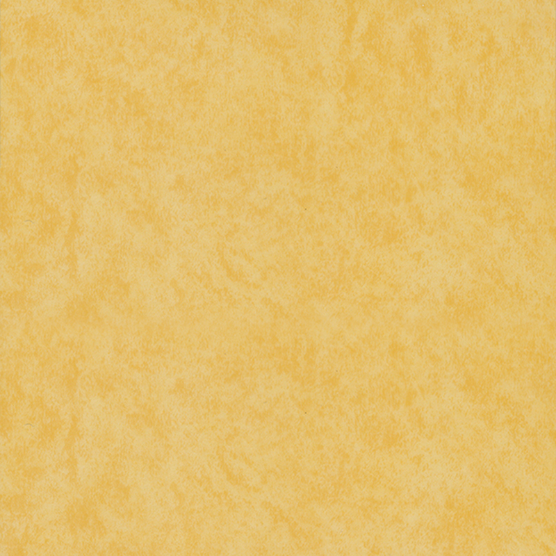 Pavimentazione eterogenea ecologica con resistenza all'usura