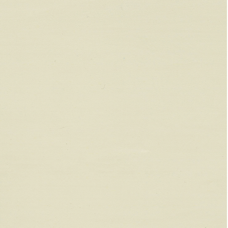 Pavimentazione omogenea di colore unico e di alta qualità