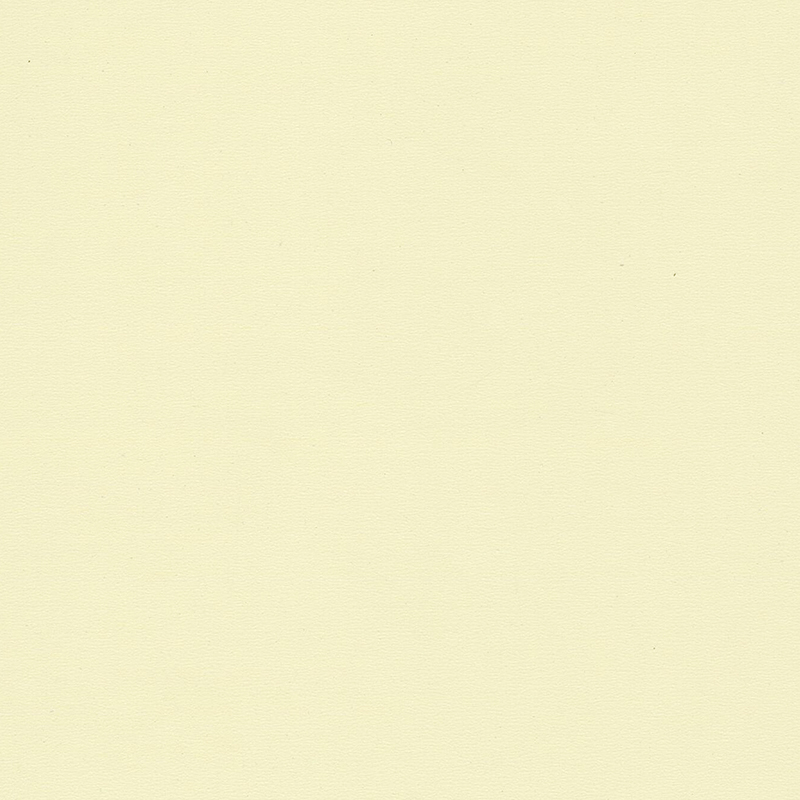 Pavimentazione omogenea di colore unico e di alta qualità