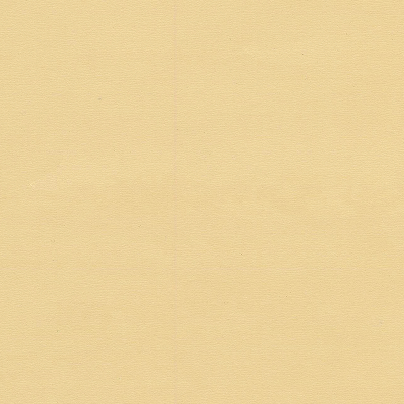 Pavimentazione omogenea di colore unico e di alta qualità