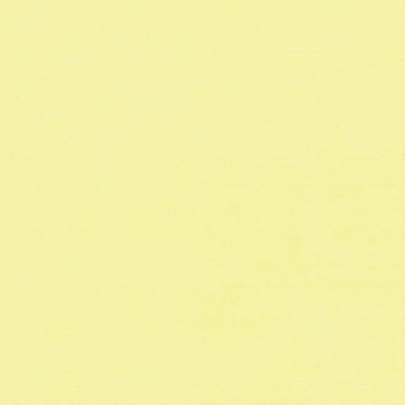 Pavimentazione omogenea di colore unico e di alta qualità