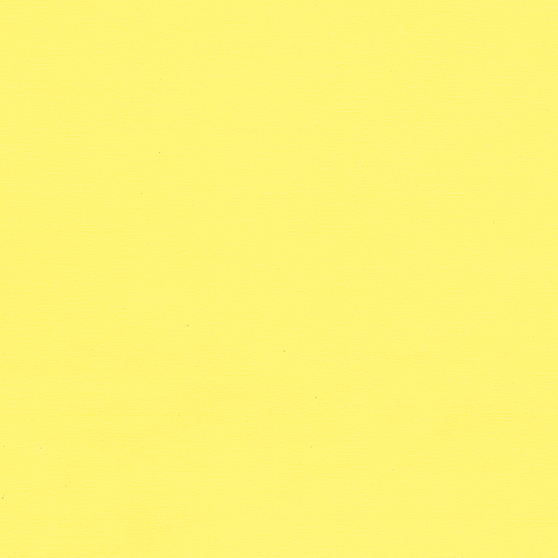 Pavimentazione omogenea di colore unico e di alta qualità