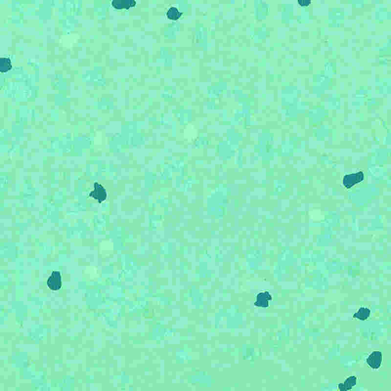 Pavimentazione in gomma antigraffio e ad alta elasticità