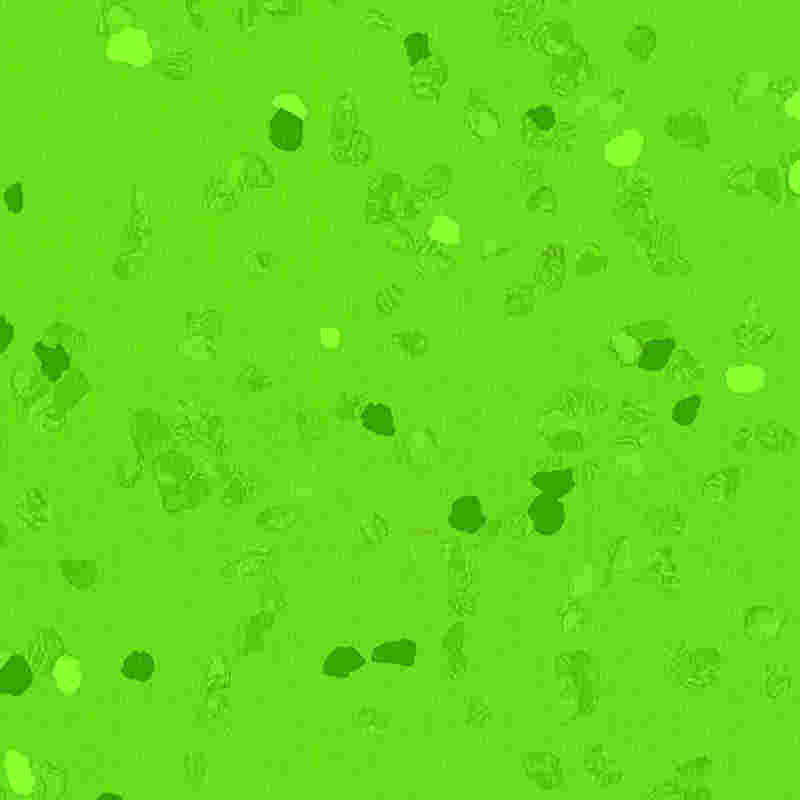 Pavimentazione in gomma antigraffio e ad alta elasticità