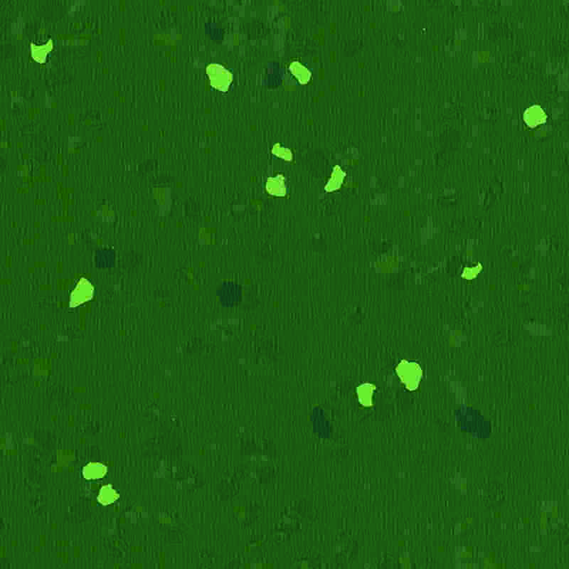 Pavimentazione in gomma antigraffio e ad alta elasticità