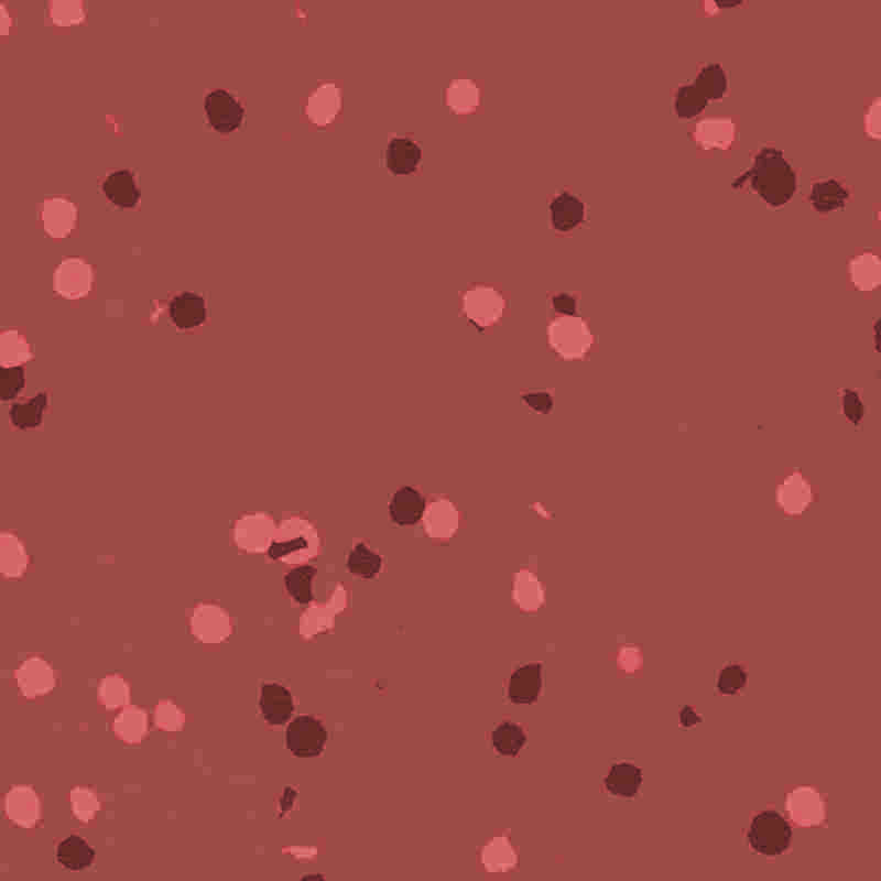 Pavimenti in gomma e plastica ignifughi e impermeabili