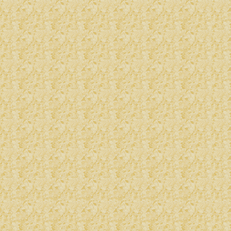 Texture in marmo e pavimento omogeneo dall'estetica orientale