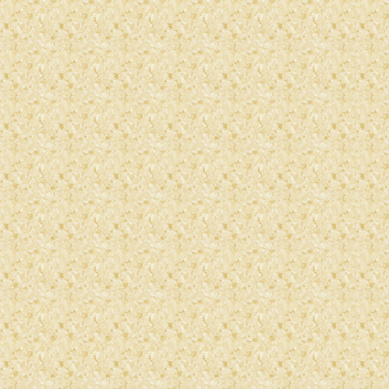 Texture in marmo e pavimento omogeneo dall'estetica orientale