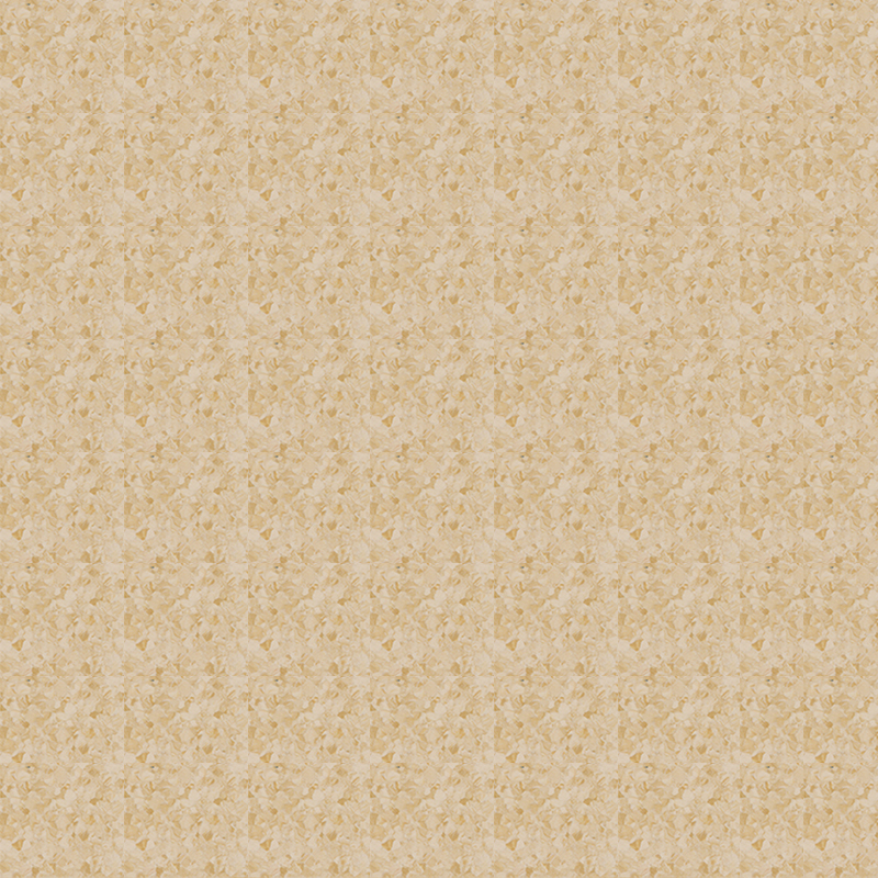 Texture in marmo e pavimento omogeneo dall'estetica orientale