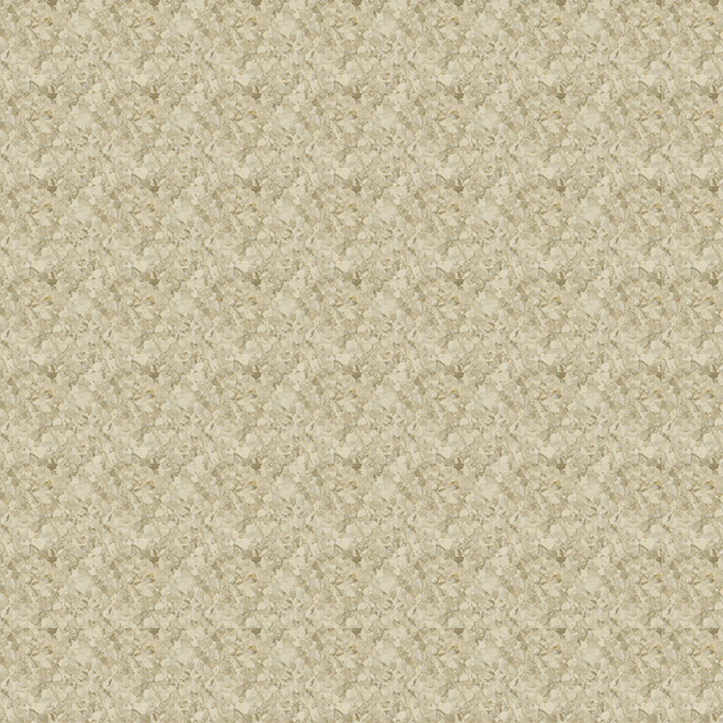 Texture in marmo e pavimento omogeneo dall'estetica orientale