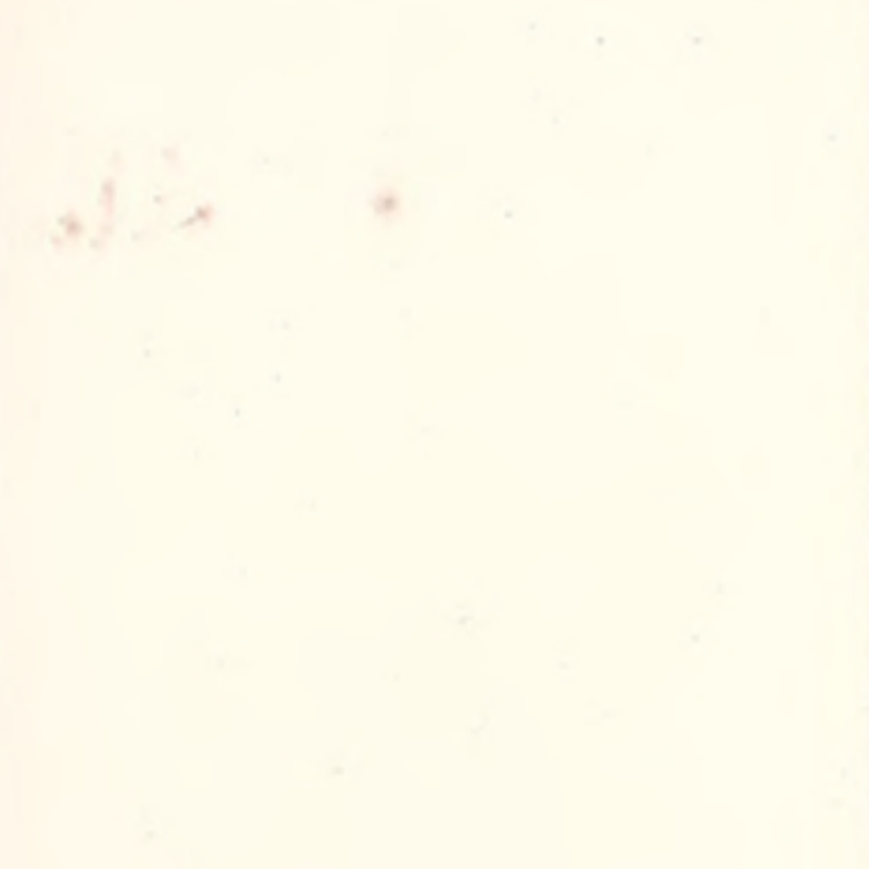 Elevata adattabilità e pavimentazione in gomma senza soluzione di continuità