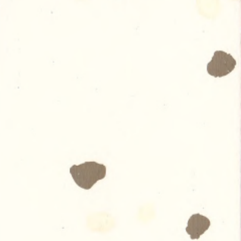 Pavimento in gomma antiscivolo e antigraffio