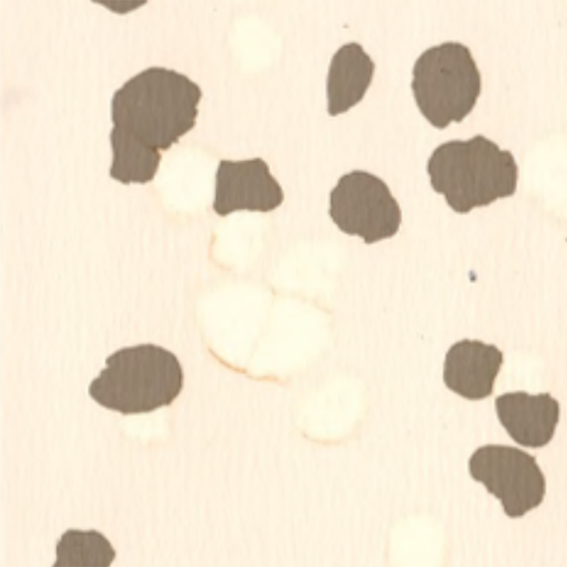 Pavimento in gomma antiscivolo e antigraffio