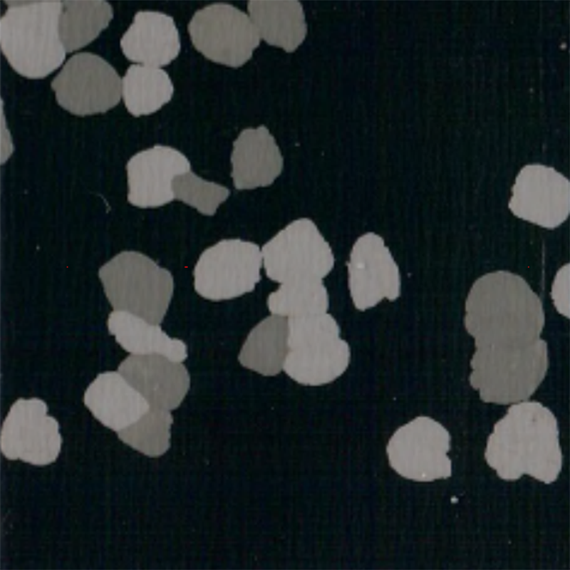 Pavimento in gomma antiscivolo e antigraffio