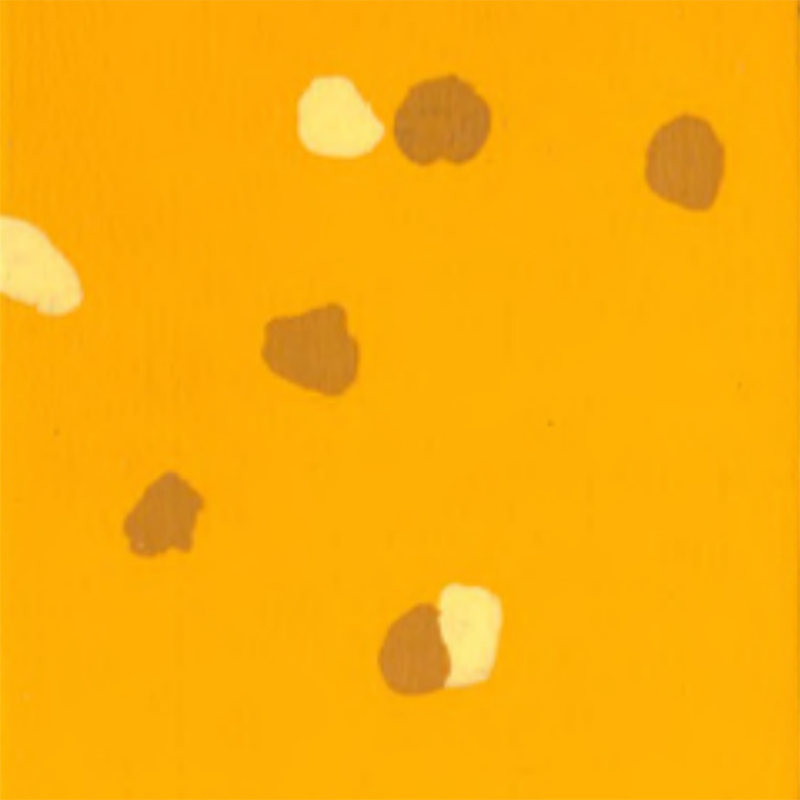 Pavimento in gomma antiscivolo e antigraffio