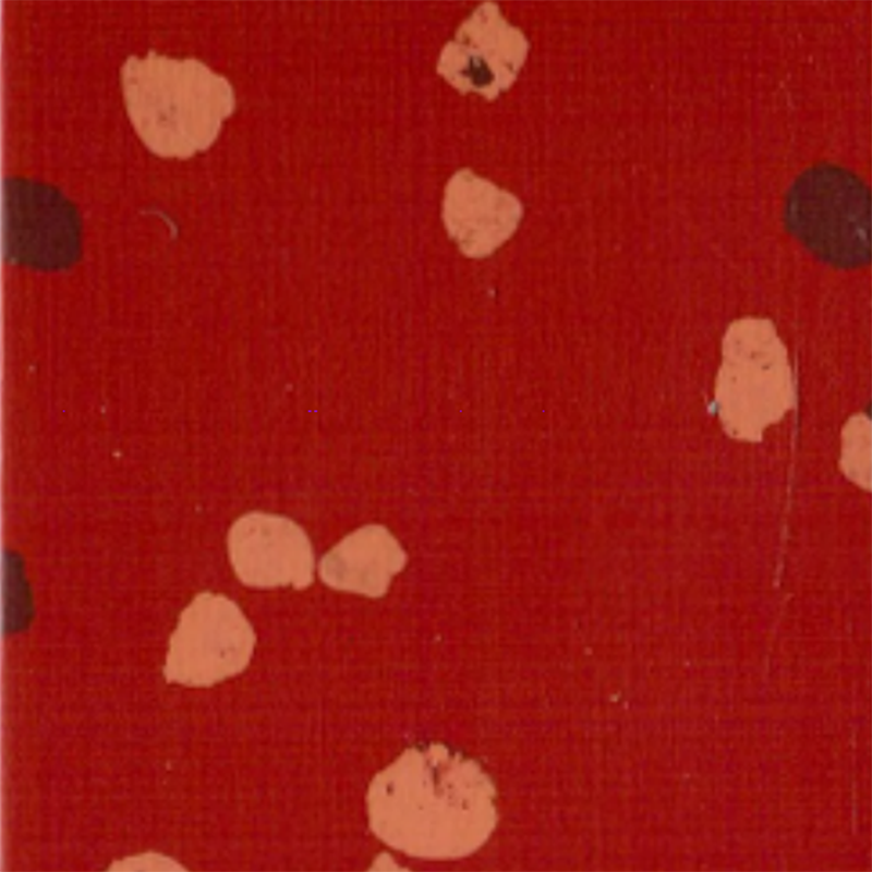 Pavimento in gomma antiscivolo e antigraffio