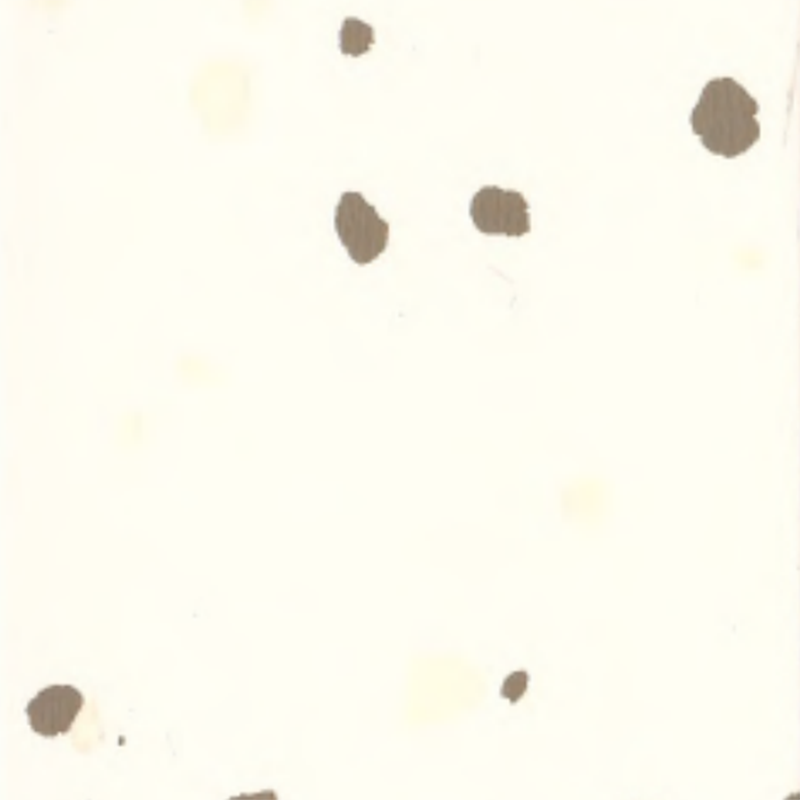 Pavimentazione in gomma ambientale