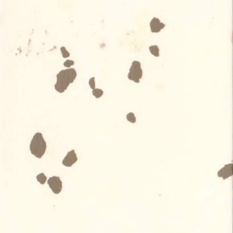 Pavimentazione in gomma ambientale